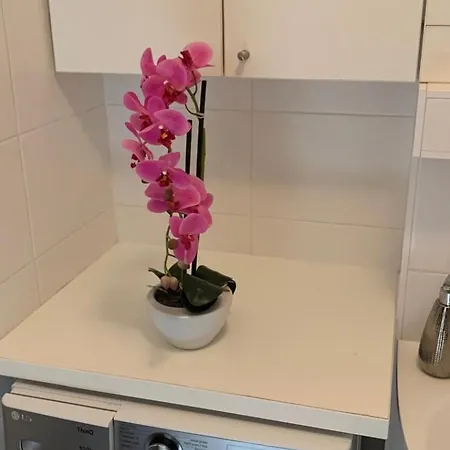 Bright Apapartment In The Heart Of Bratislava