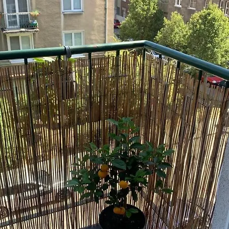 公寓 Bright Apapartment In The Heart Of 布拉迪斯拉发