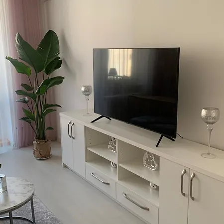 Bright Apapartment In The Heart Of 公寓 *